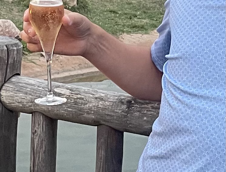Profil de Kayvan, 49 ans, Escort TS Suisse à Meikirch