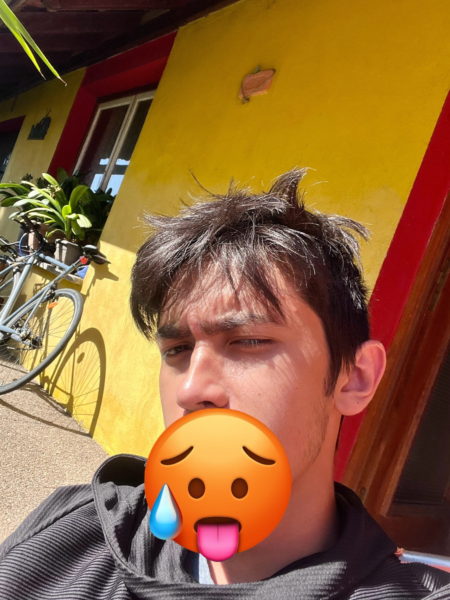 Profil de Pacifique, 22 ans, Escort TS Suisse à Ladir