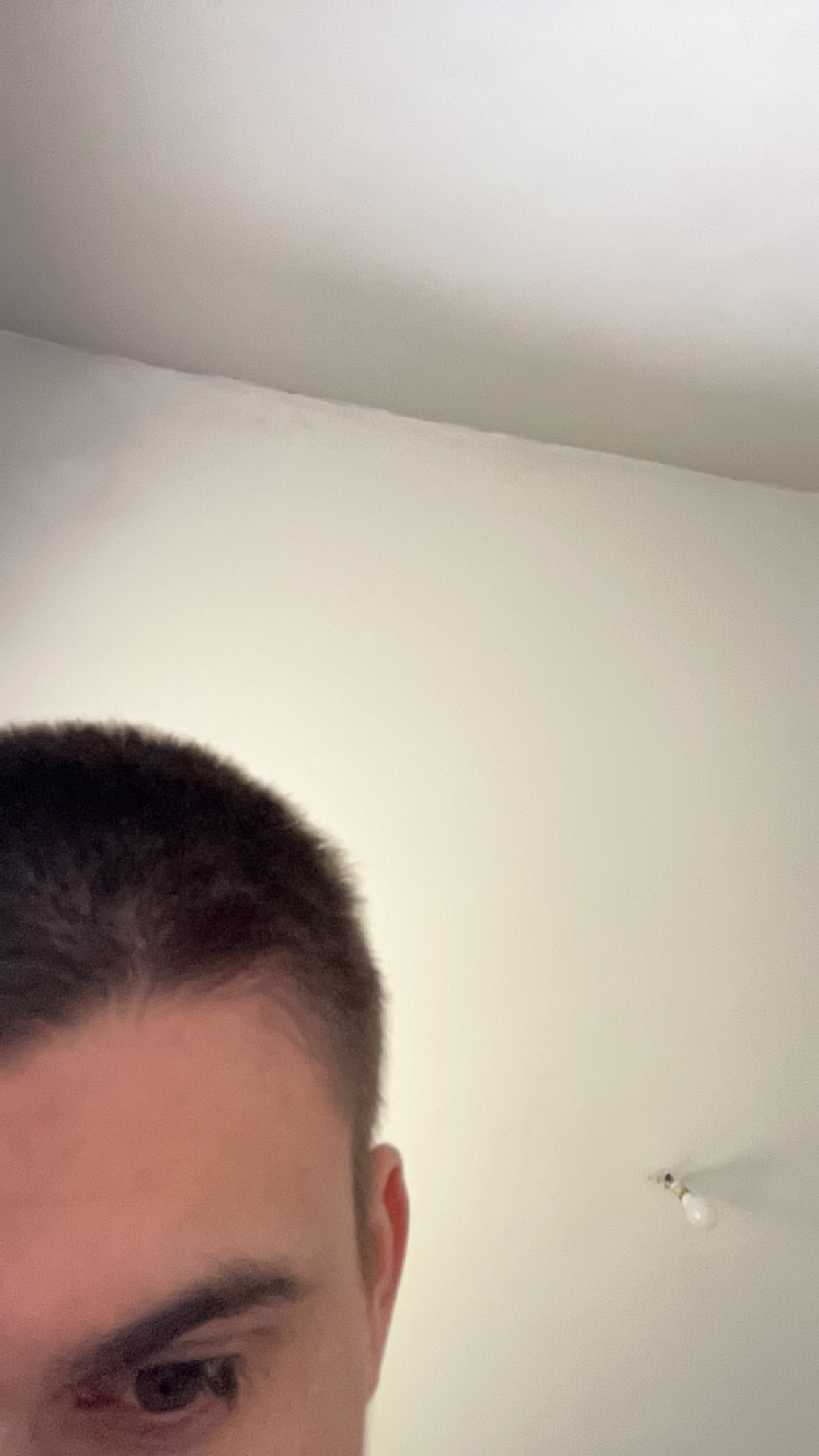 Profil de Silvino, 23 ans, Escort TS Suisse à Zwieselberg